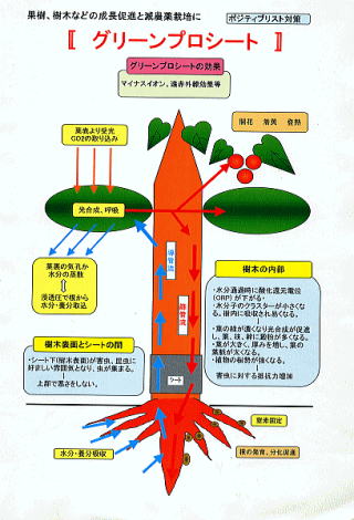 グレーンプロシート